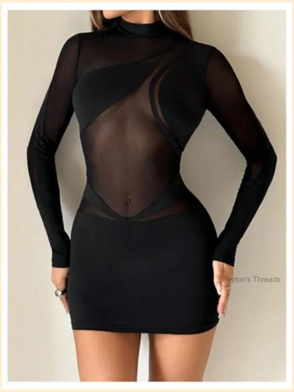 Sheer Mesh Bodycon Mini Dress Long Sleeve Mock Neck Night Out